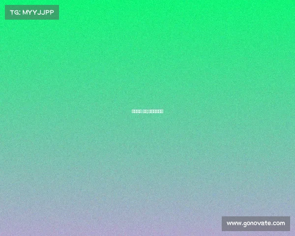 目前女排 赛事;今年女排赛制